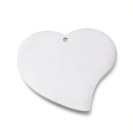 Tarnish Resistant 304 Stainless Steel Pendants STAS-L238-100A-P-1