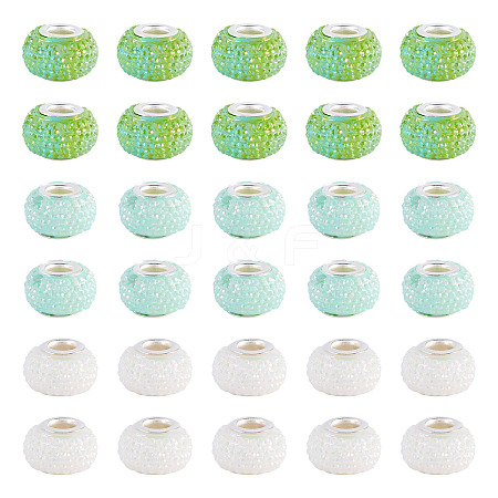100Pcs Large Hole Resin European Beads OPDL-TA0001-06B-1
