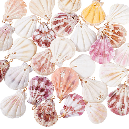30Pcs Natural Shell Pendants PALLOY-PH01840-1