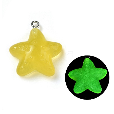 Luminous Resin Pendants RESI-R452-01D-1