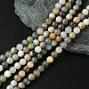 Natural Bamboo Leaf Agate Round Bead Strands G-M248-6mm-04-1