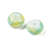Opaque Spray Painted Glass Beads GLAA-G118-01B-2