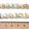 Natural Seashell Shell Beads Strands SH-CBAFEDD-01A-3