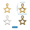 Alloy Charms PALLOY-CD0001-03-17