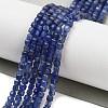 Natural Sodalite Beads Strands G-H042-B08-01-2