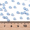 Glass Seed Beads SEED-T007-01N-4