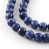 Dyed Natural Sesame Jasper Round Beads Strands G-R342-6mm-12-2