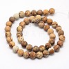 Natural Picture Jasper Beads Strands G-D686-8mm-2