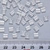2-Hole Transparent Glass Seed Beads SEED-S031-L-001-3