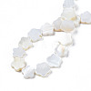 Natural Freshwater Shell Beads Strands SHEL-S278-078A-01-4