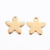 304 Stainless Steel Charms STAS-H373-02G-2