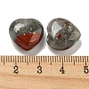 Natural African Bloodstone Beads G-P531-A21-01-3