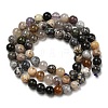 Natural Dendritic Jasper Beads Strands G-R494-A23-02-2