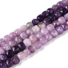 Gradient Color Natural Lepidolite Beads Strands G-N342-138B-4