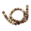 Natural Australia Zebra Stone Beads Strands G-H125-6mm-2