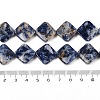 Natural Blue Spot Jasper Beads Strands G-L239-17-5