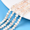 Natural Cultured Freshwater Pearl Beads Strands PEAR-N014-04D-01-1