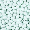 Baking Paint Glass Seed Beads SEED-T007-15K-2