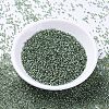 MIYUKI Delica Beads SEED-MY11-DB2165-2