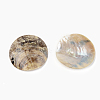 Mother of Pearl Buttons SSHEL-R048-021-2