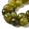 Natural Chinese Jade/Southern Jade Beads Strands G-A247-08-4