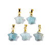 Natural Amazonite Charms G-N326-142-08-2