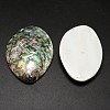 Oval Paua Shell Cabochons BSHE-M020-07-2