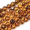 Natural Amber Beads Strands G-L095-B01-8mm-04-2