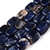 Natural Sodalite Beads Strands G-T138-107-4