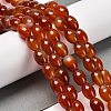 Natural Agate Beads Strands G-B079-E01-01-3