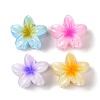 Plastic Claw Hair Clips OHAR-P020-08-1