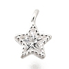 925 Sterling Silver Cubic Zirconia Charms STER-Q005-01B-A-1