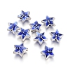 Antique Silver Plated Alloy Beads ENAM-L032-I01-AS-1