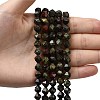 Natural Dragon Blood Beads Strands G-Z119-A17-02-2