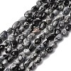 Natural Snowflake Obsidian Beads Strands G-K395-A04-01-2
