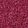 MIYUKI Delica Beads SEED-MY11-DB2154-3