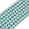 Eco-Friendly Dyed Glass Pearl Round Beads Strands HY-A002-8mm-RB106-1
