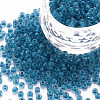 8/0 Transparent Glass Seed Beads SEED-S048-P-001-1