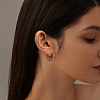 4 Pairs 2 Colors Brass Hoop Earrings EJEW-GO0003-26-5