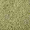 TOHO Round Seed Beads SEED-XTR08-PF0559-2