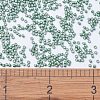 MIYUKI Delica Beads SEED-MY11-DB1171-4