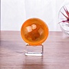 1Pc Glass Display Decorations DJEW-DJ0001-13B-5
