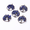 Natural Lapis Lazuli Pendants G-E419-01R-2