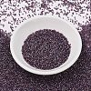 MIYUKI Delica Beads SEED-J020-DB2390-2
