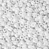 6/0 Glass Seed Beads SEED-US0003-4mm-121-2