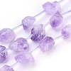 Natural Amethyst Beads Strands G-I250-03C-1