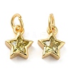 Brass Cubic Zirconia Charms FIND-Z005-02A-1