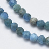 Natural Apatite Beads Strands G-F547-37-5mm-3