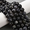 Natural Iolite Beads Strands G-E561-16-10mm-5
