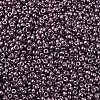 MIYUKI Round Rocailles Beads X-SEED-G007-RR1088-3
